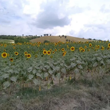 Holiday home La Quercia Grande Loretello