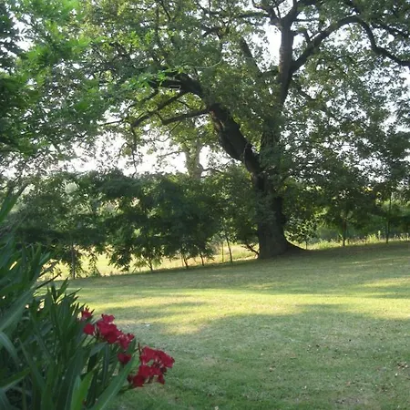 Holiday home La Quercia Grande Loretello