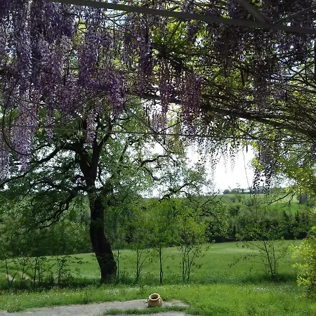 La Quercia Grande Loretello