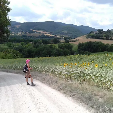 La Quercia Grande *