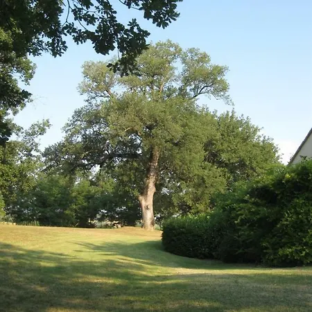 Holiday home La Quercia Grande Loretello