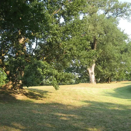 La Quercia Grande Loretello