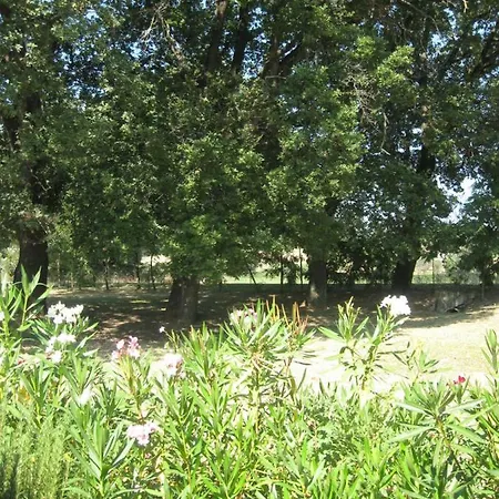 Holiday home La Quercia Grande Loretello